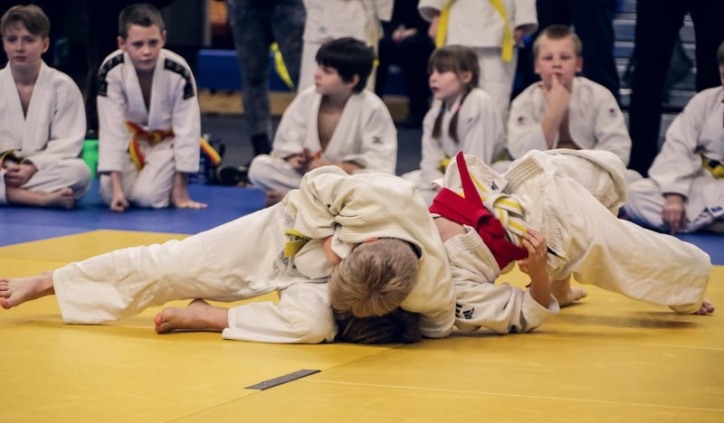 Judo Fight